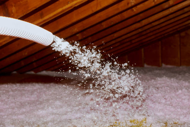 Best Insulation Maintenance and Repair in Annapolis, MD