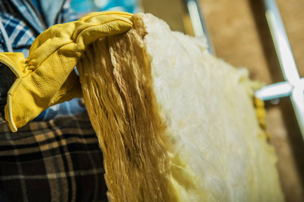 Best Insulation Installation Services in Annapolis, MD