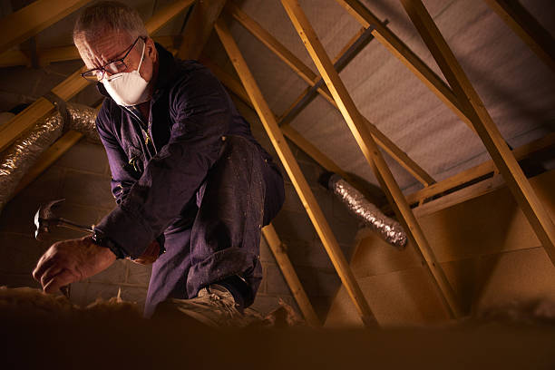 Best Insulation for Specific Applications in Annapolis, MD